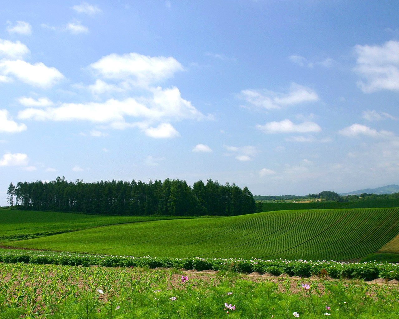 Почвы Литвы